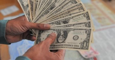 سعر الدولار اليوم في البنك المركزي المصري 51.76 جنيه