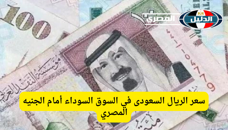 ‘‘ بكام الريال النهارده ‘‘ سعر الريال السعودى في السوق السوداء أمام الجنيه المصري اليوم الاربعاء 28 فبراير 2024 والبنوك