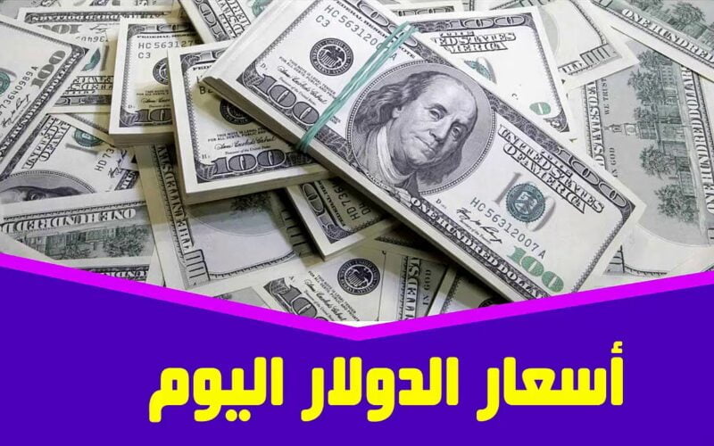 بعد اجتماع البنك المركزي 2024 .. سعر الدولار اليوم الخميس 1 فبراير 2024 في البنوك المصرية والسوق السوداء