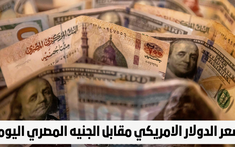 ‘‘ الأخضر نازل لحد فين ‘‘ سعر الدولار اليوم فى السوق السوداء السبت 2 مارس 2024 والبنوك الرسمية