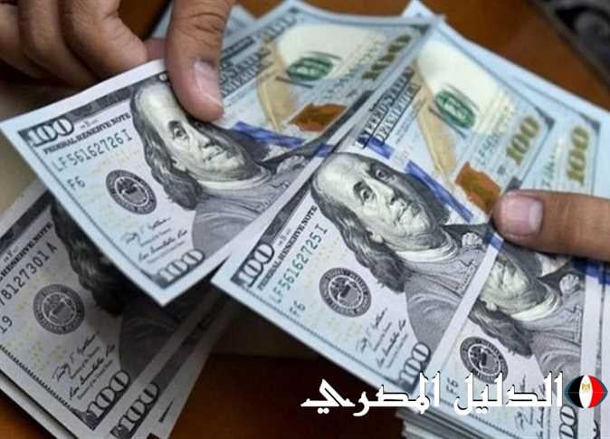 ‘‘ الأخضر بيعيط في الركن ‘‘ سعر الدولار في السوق السوداء مقابل الجنيه المصري اليوم الجمعه 1 مارس 2024