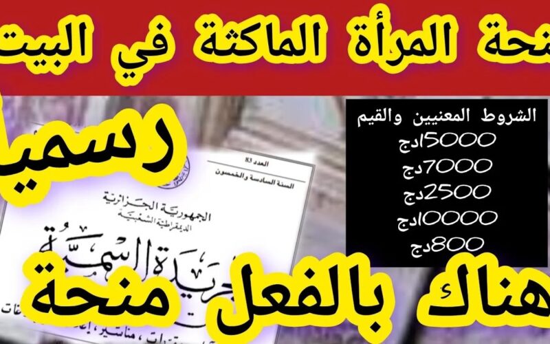 رابط التسجيل في منحة المرأة الماكثة في البيت 2024 الجزائر والأوراق المطلوبة