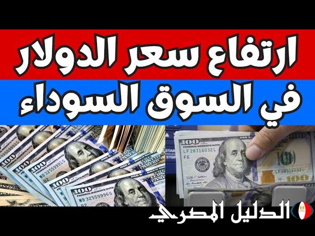 ‘‘ بكام الأخضر ؟ ‘‘ سعر الدولار الأمريكي مقابل الجنيه المصري اليوم السبت 9 / 3 / 2024 في السوق السوداء