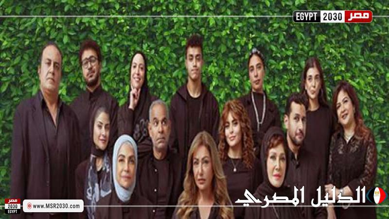 آل شنب يتصدر قائمة الإيرادات بالسينما