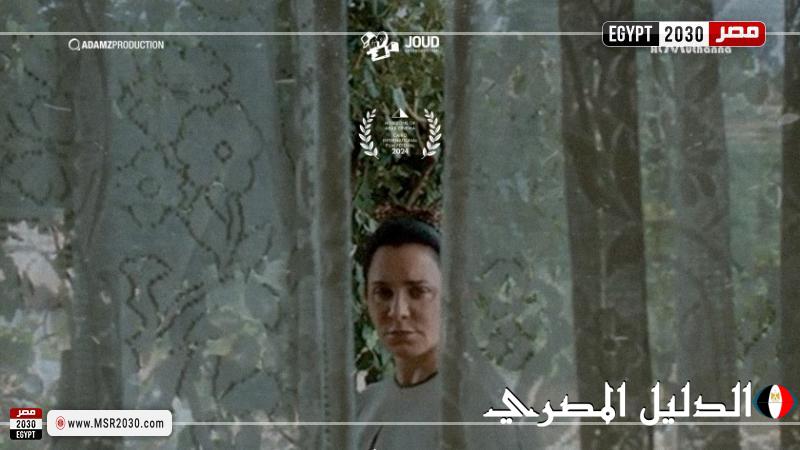 مواعيد عرض فيلم سلمى في مهرجان القاهرة السينمائي