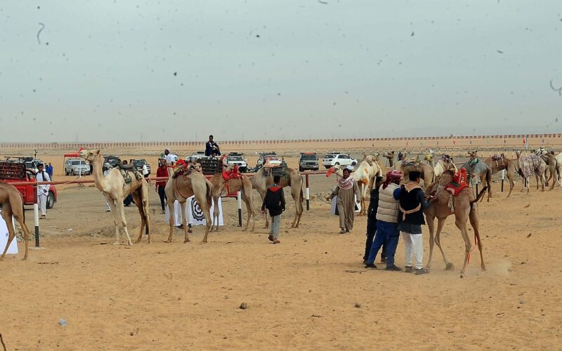 رئيس الوزراء يفتتح نادي الهجن والفروسية الدولي بالوادي الجديد