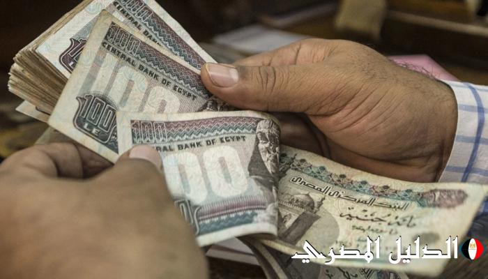 موعد مرتبات شهر نوفمبر 2024