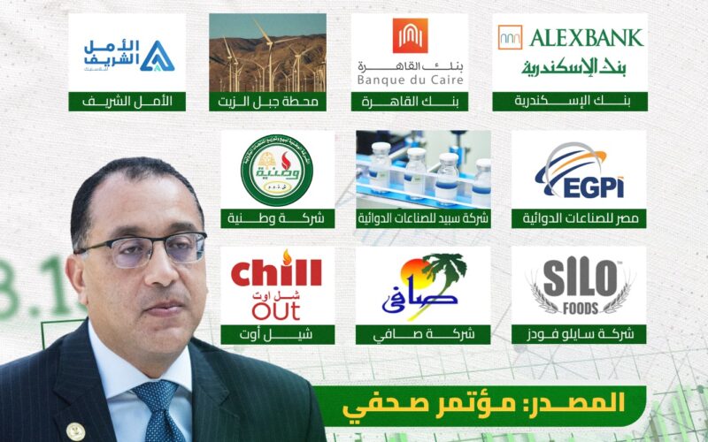 الحكومة تستعد لطرح 11 شركة ببرنامج الطروحات 2025