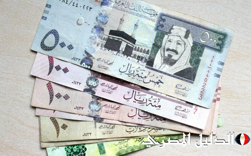 سعر الريال السعودي مقابل الجنيه المصري اليوم الأحد 8 ديسمبر.. تباين الأسعار في البنوك