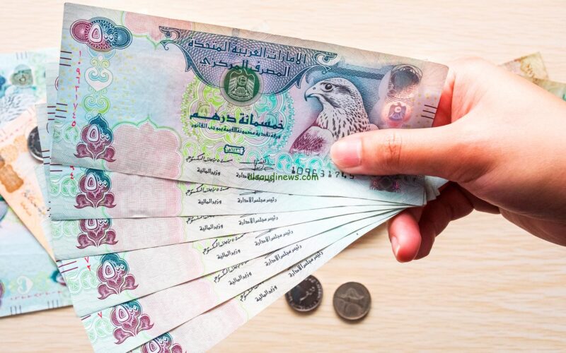 سعر الدرهم الإماراتي أمام الجنيه المصري في البنوك اليوم السبت 14 ديسمبر 2024