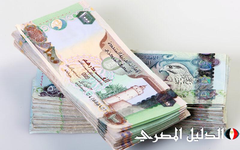 سعر الدرهم الإماراتي أمام الجنيه المصري في البنوك اليوم الاثنين.. لامس 14 جنيها