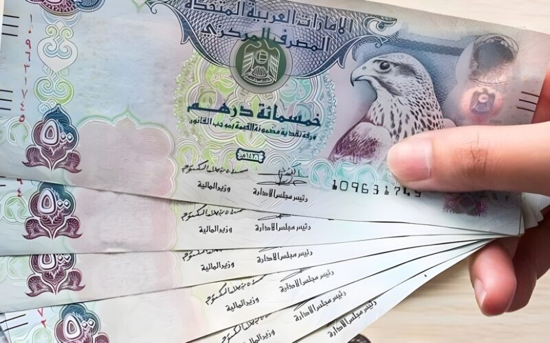 سعر الدرهم الإماراتي مقابل الجنيه المصري في البنوك اليوم الثلاثاء 31 ديسمبر 2024.. أحدث التحديثات