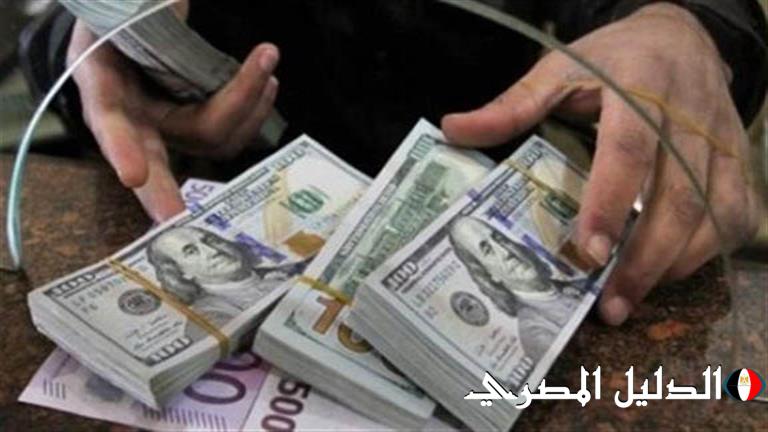 ارتفاع تحويلات المصريين بالخارج إلى 26.3 مليار دولار خلال 11 شهرًا