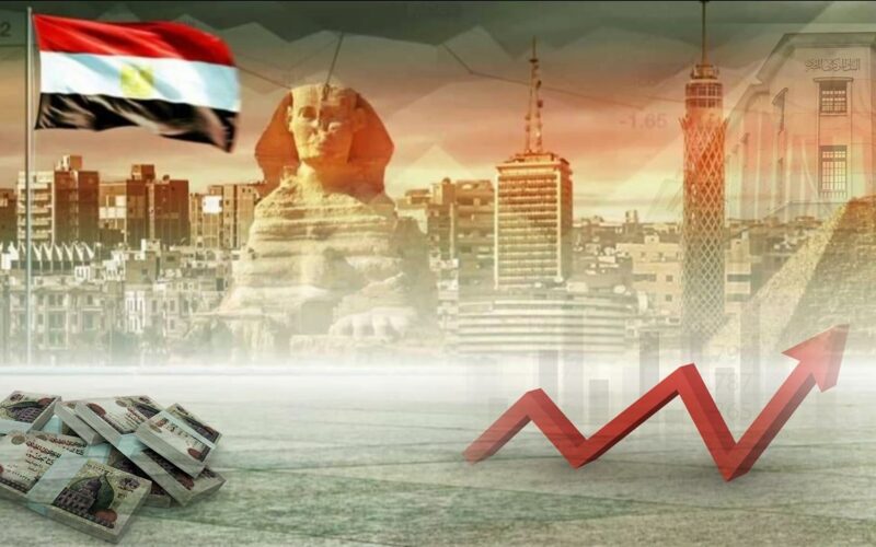 خلال 2024.. مصر تحصل على تمويلات تنموية ميسرة بقيمة 7.3 مليار دولار