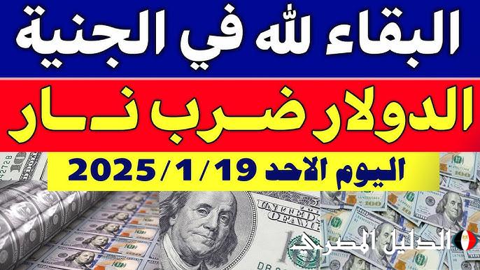 أعلى سعر للدولار اليوم في السوق السوداء في مصر بنهاية تعاملات الأحد 19 يناير 2025