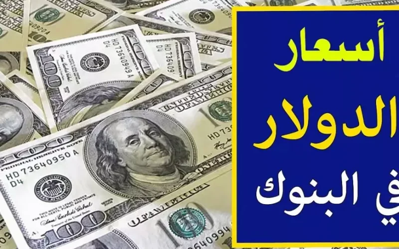 سعر الدولار اليوم في السوق السوداء والبنوك السبت 18 يناير 2025