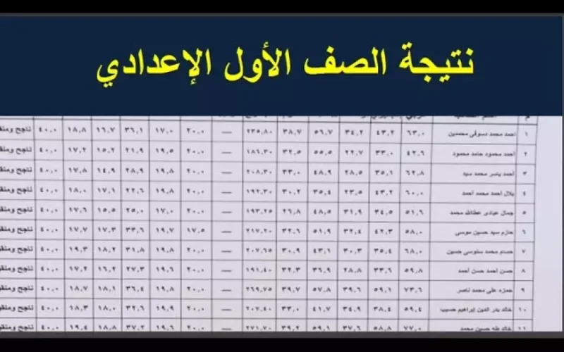 نتيجة الصف الأول الإعدادي برقم الجلوس 2025 ورابط الاستعلام عبر eduserv.cairo.gov.eg