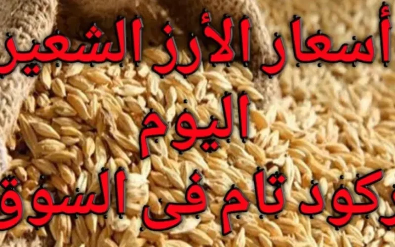 سعر طن الأرز الشعير اليوم الأحد 19 يناير 2025 اسعار الارز والسلع الغذائية مع اقتراب شهر رمضان