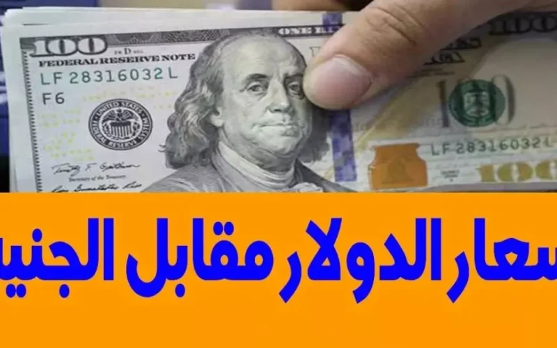 سعر الدولار اليوم مقابل الجنيه المصري الأثنين 20 يناير 2025 في السوق السوداء وداخل البنوك