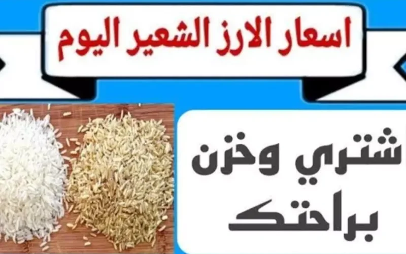 الرفيع والعريض.. سعر طن الأرز الشعير اليوم الاثنين 20 يناير 2025 في مصر