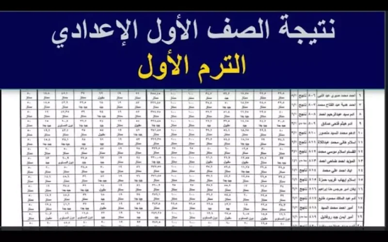 رابط نتيجة الصف الأول الإعدادي برقم الجلوس والاسم 2025 عبر موقع وزارة التربية والتعليم الرسمي