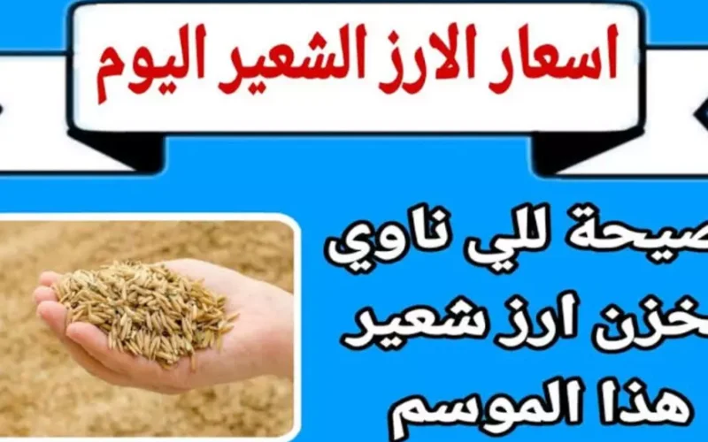 رفيع وعريض الحبه.. سعر طن الأرز الشعير اليوم الجمعة 24 يناير 2025 أسعار السلع الأساسية للمستهلك داخل الاسواق المصرية