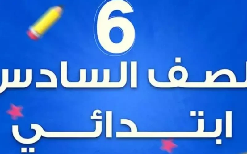 eduserv.cairo.. نتيجة الصف السادس الابتدائي محافظة القاهرة 2025 برقم الجلوس والاسم عبر بوابه التعليم الاساسي