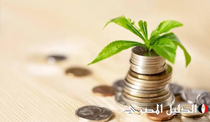 ملتقيات توظيف وتمويل 93507 مشروعات خلال 100 يوم للمبادرة الرئاسية “بداية”