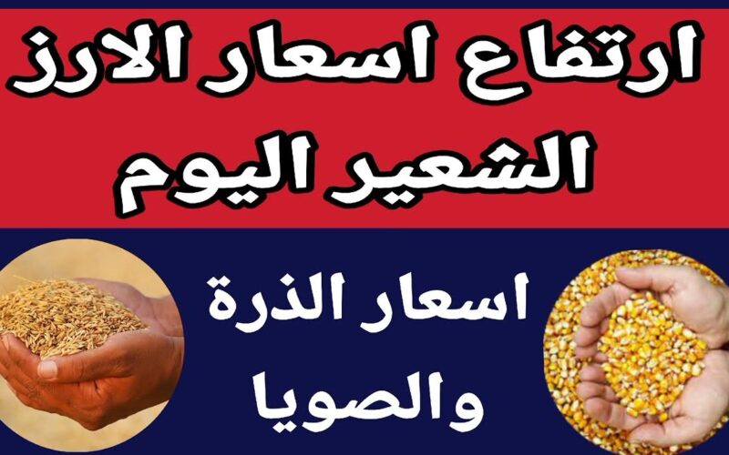 قبل رمضان.. سعر طن الأرز الشعير اليوم الاحد للتجار في مصر