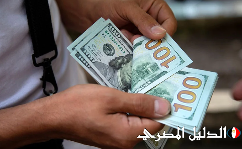 منذ تحرير سعر الصرف.. 6.4 مليار دولار زيادة في الودائع الأجنبية بالبنوك المصرية