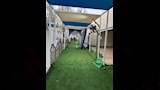 مخيمات الحج (4)