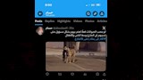 الكلاب الضالة (4)