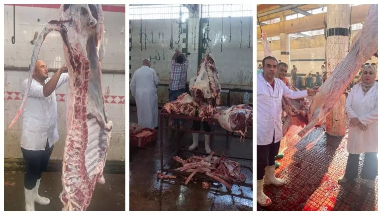 الحكومة المصرية تنشر إحصائيات ذبح 35 ألف أضحية في المجازر الحكومية خلال عيد الأضحى