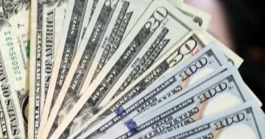 استقرار سعر الدولار أمام الجنيه في الفترة الصباحية